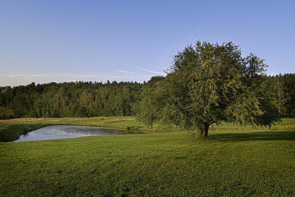 Bed & Breakfast Gosciniec Nowa Wioska 3*